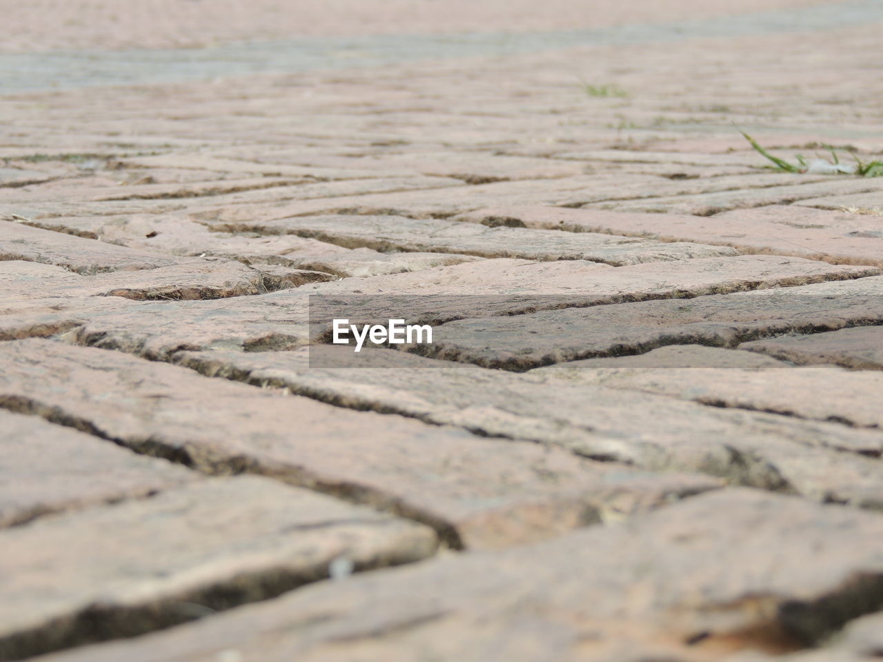 sand, soil, land, no people, nature, day, selective focus, pattern, outdoors, landscape, scenics - nature, environment, road surface, backgrounds, tranquility, wood, beauty in nature, surface level, flooring, textured, full frame, water, beach