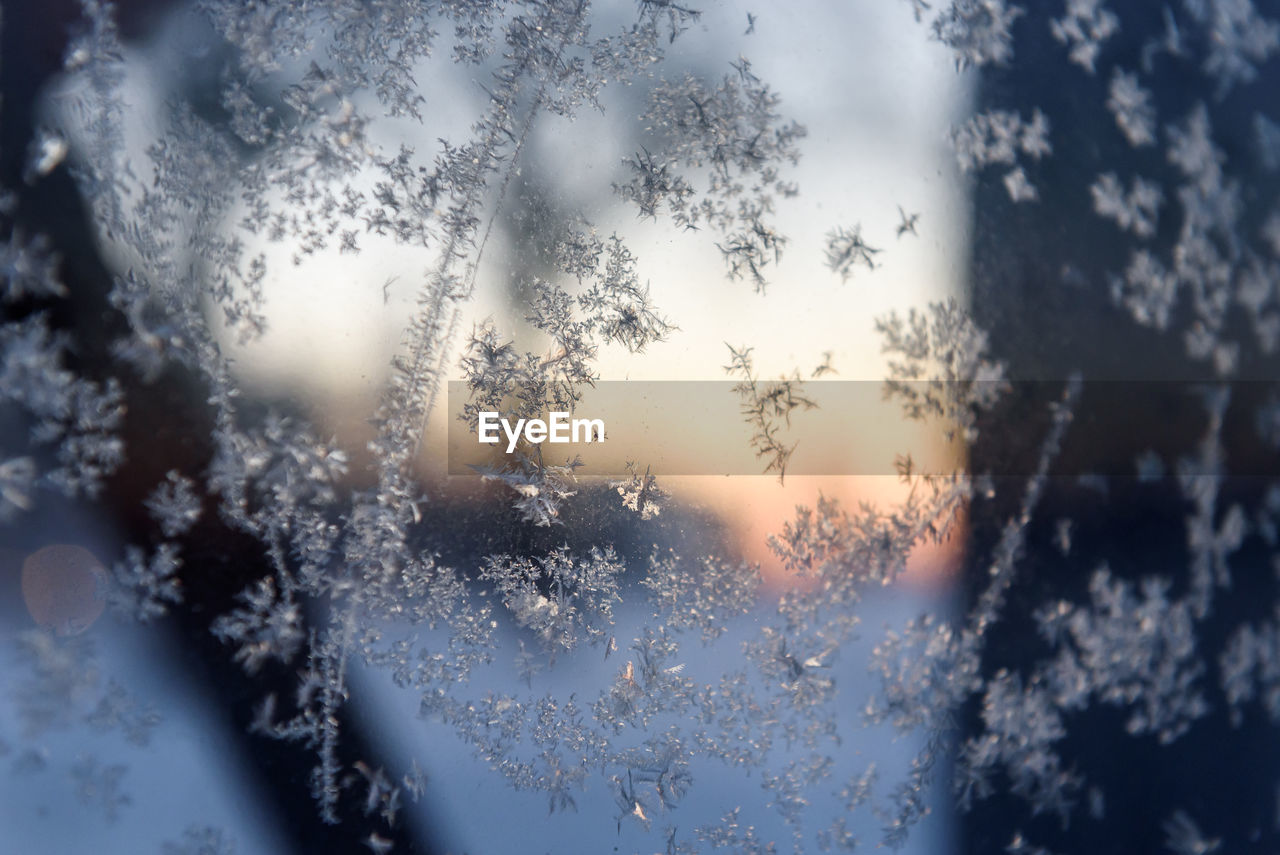window, nature, no people, glass, freezing, wet, frost, sky, close-up, winter, drop, cold temperature, backgrounds, focus on foreground, water, outdoors, snowflake, snow, transparent, rain, sunlight, reflection, sunset, pattern, blue, frozen, beauty in nature, full frame, environment, ice