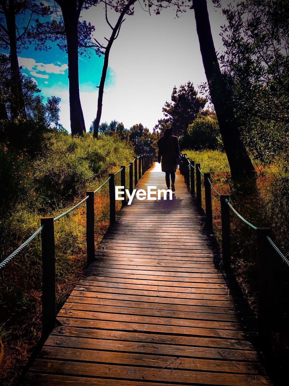 Rear view of woman walking on boardwalk amidst plants and trees