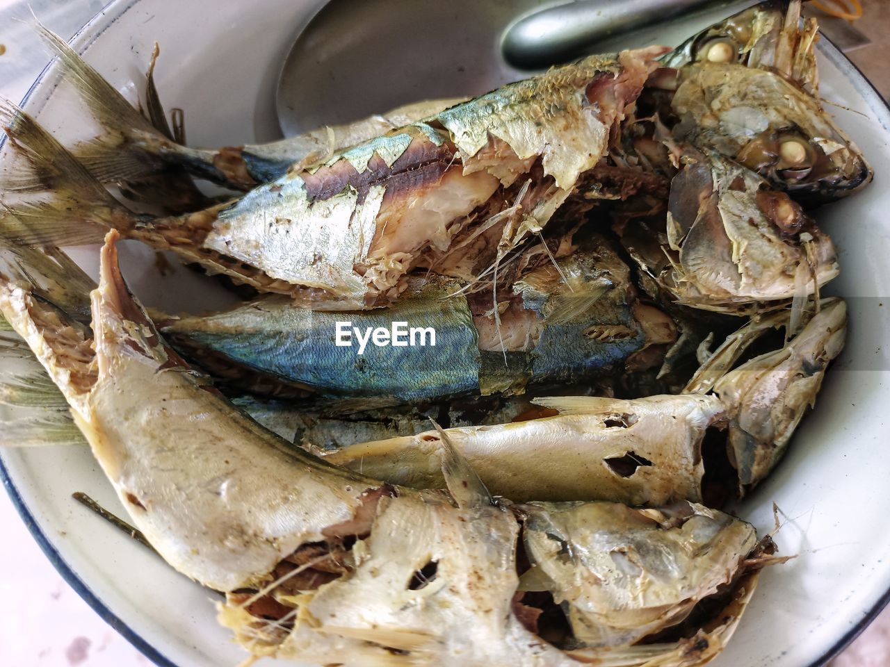 HIGH ANGLE VIEW OF FISH IN MARKET