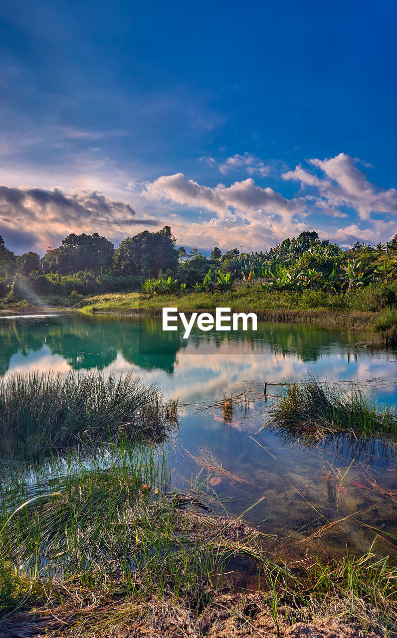 Scenic view of lake by trees against sky