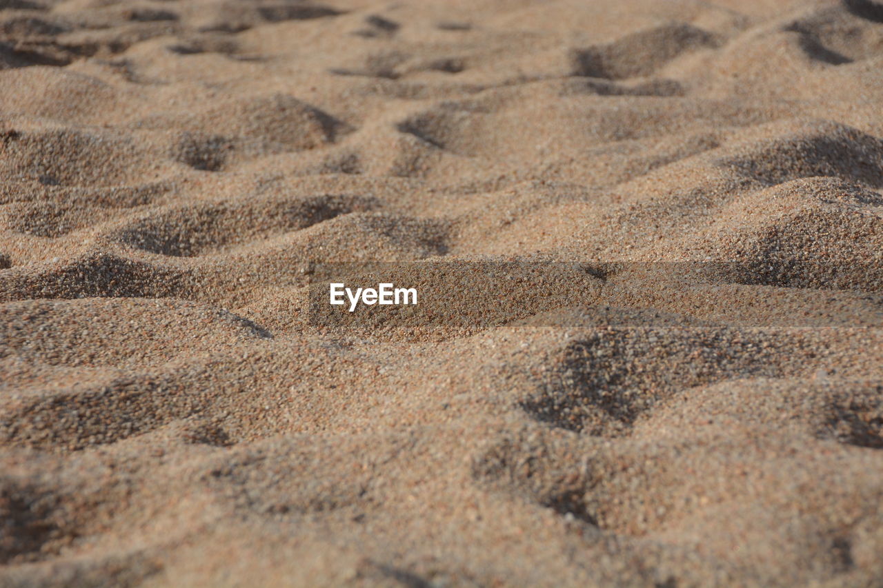 FULL FRAME SHOT OF SANDY BEACH