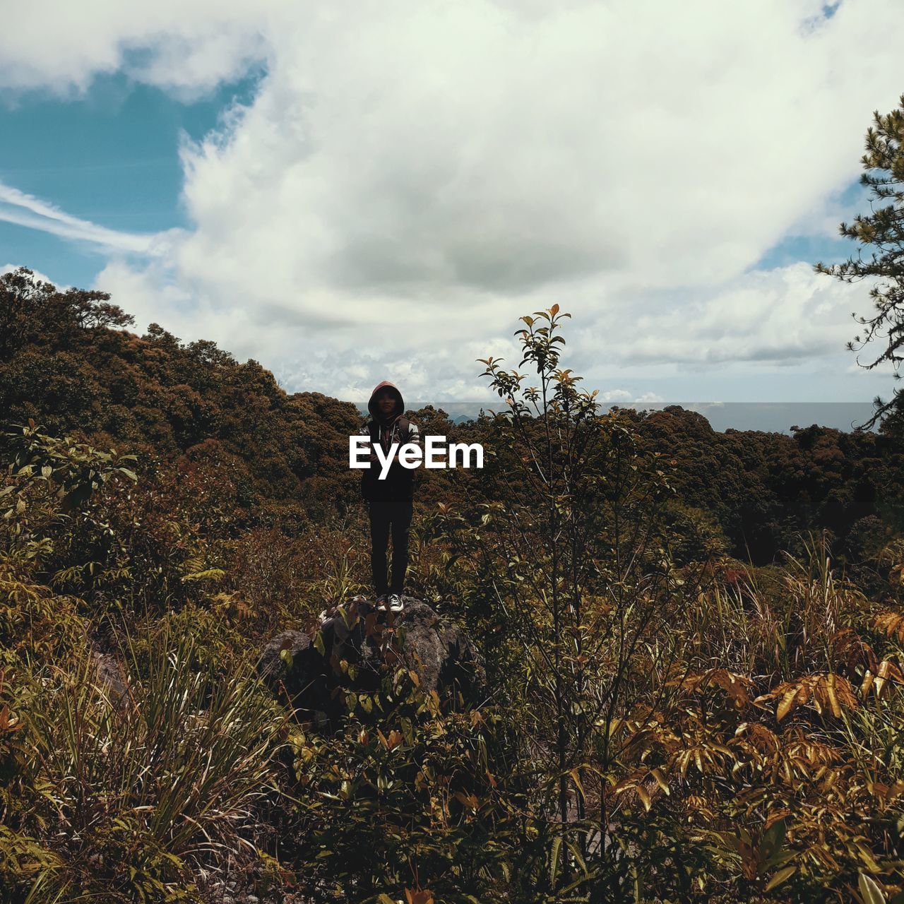 Man standing on rock amidst plants against cloudy sky