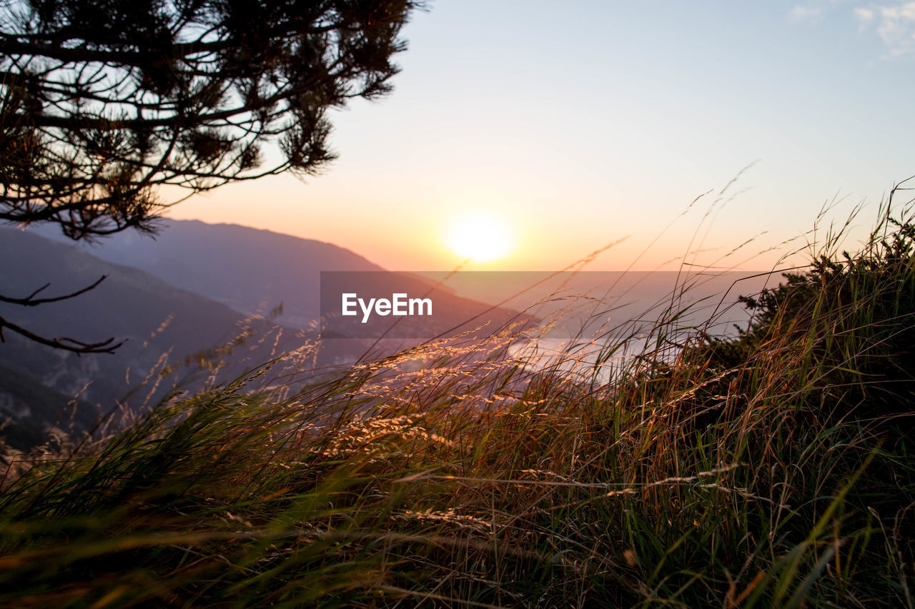 Scenic view of field against sky during sunset