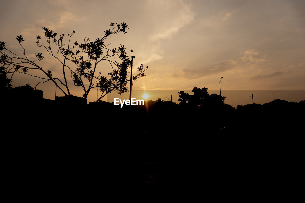 SILHOUETTE TREES ON FIELD AGAINST ORANGE SKY