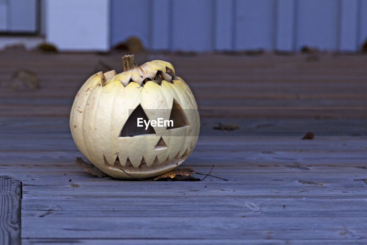 A bright almost white pumpkin for halloween