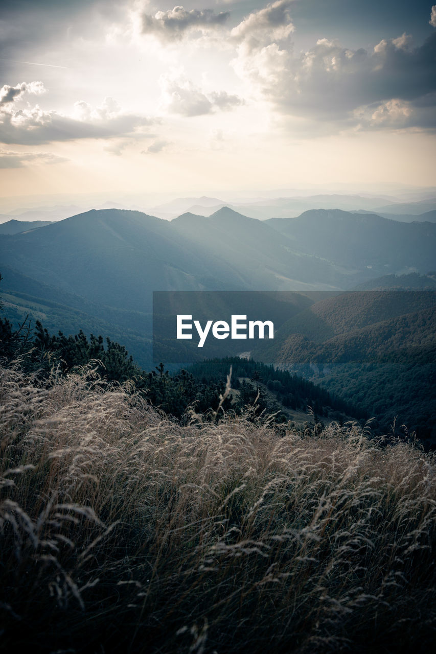 Scenic view of landscape against sky during sunset