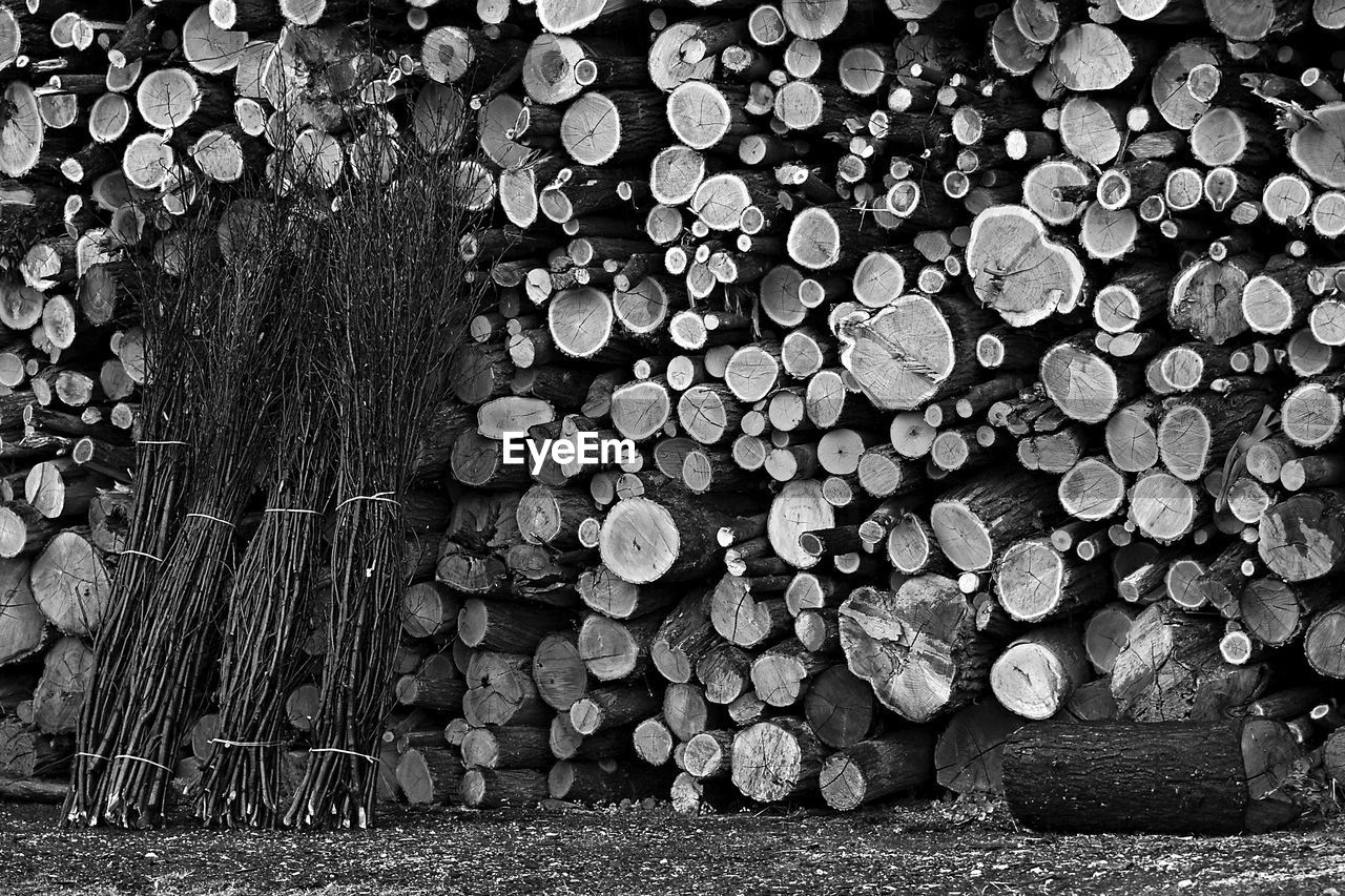 CLOSE-UP OF LOGS STACK OF FIREWOOD