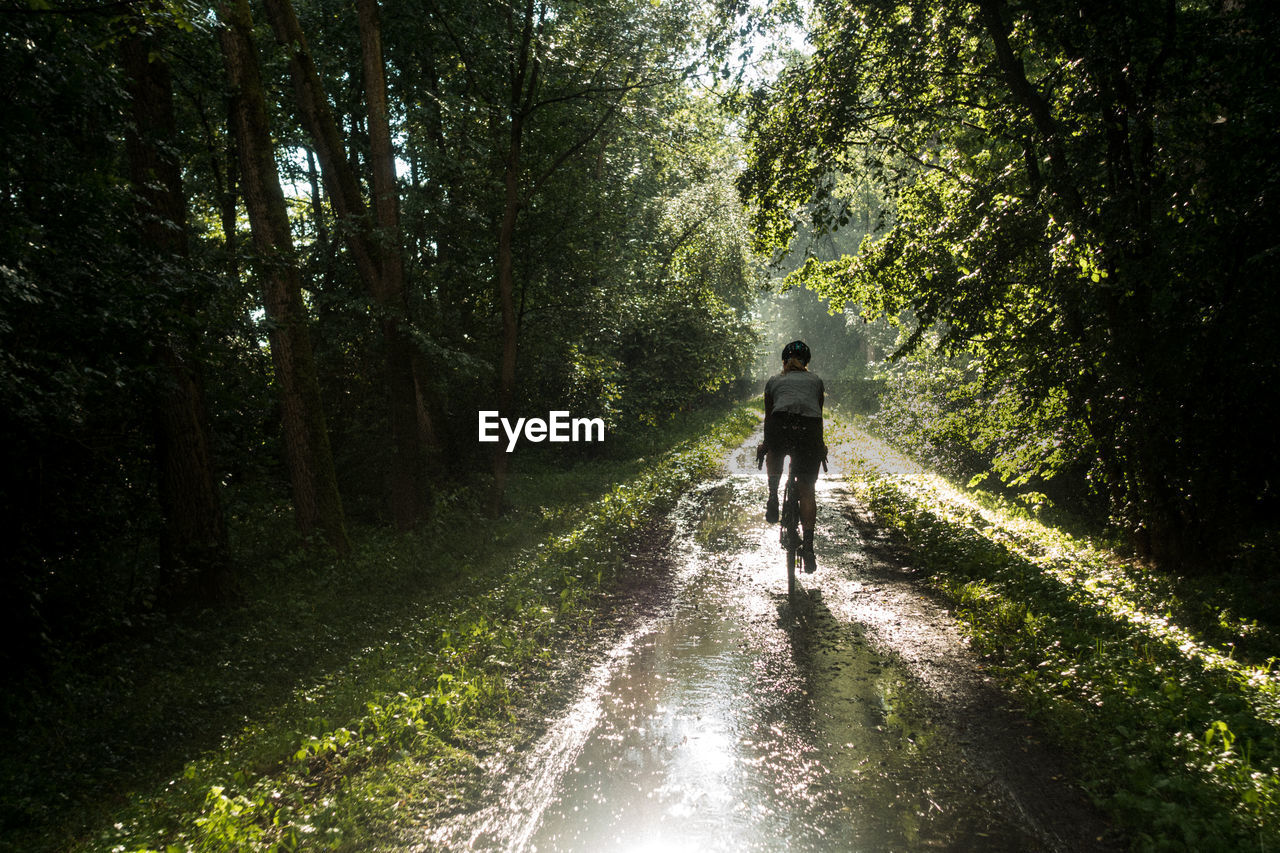 Rear view of woman riding bicycle in forest