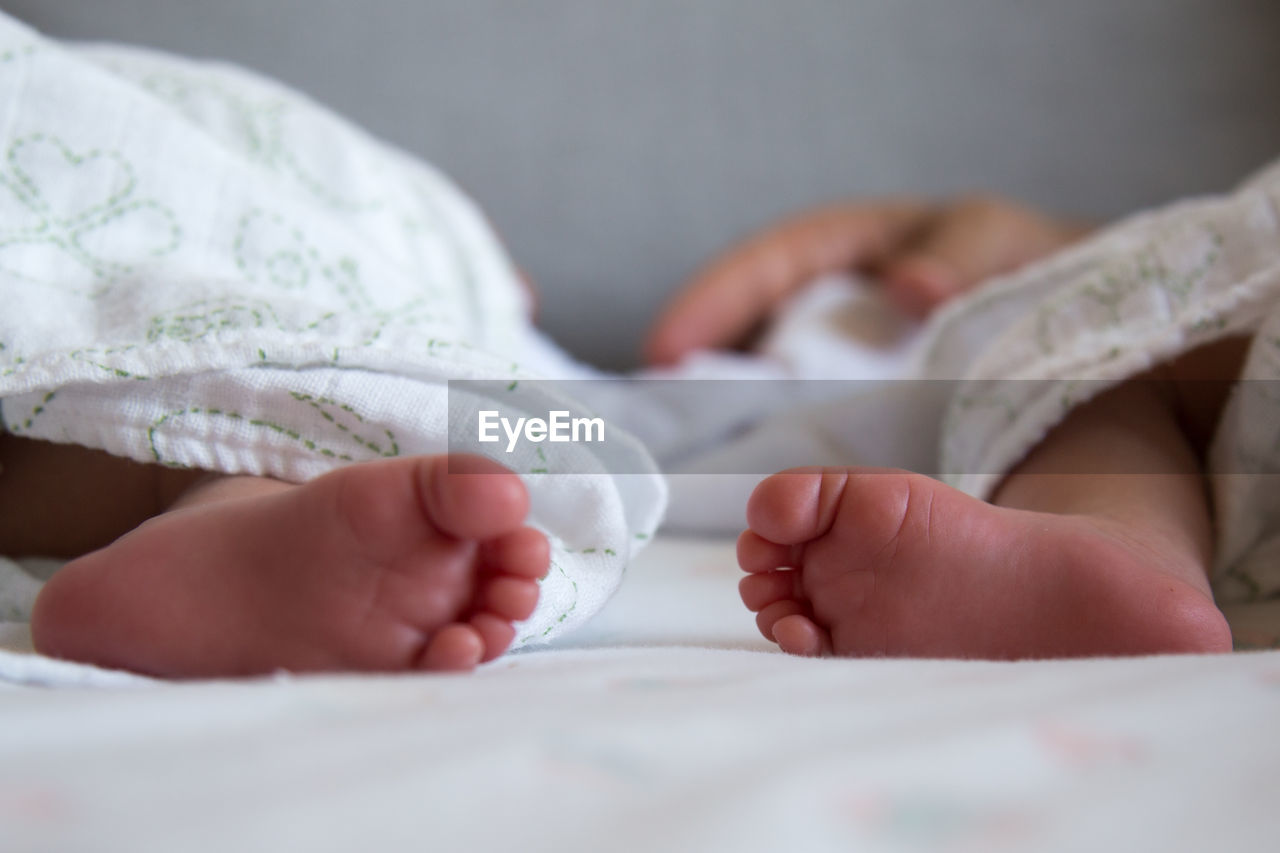 Low section of twin babies lying on bed