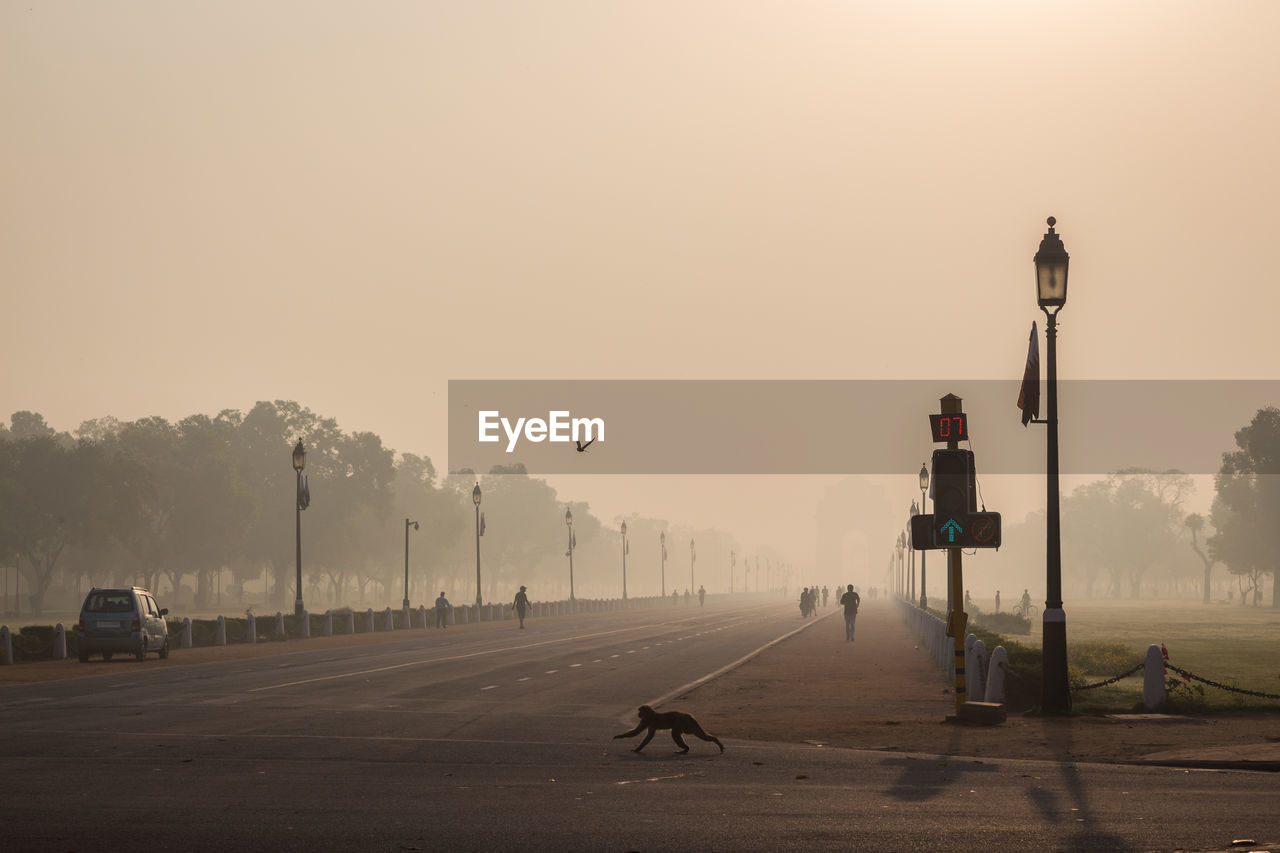 View of monkey running on road against clear sky