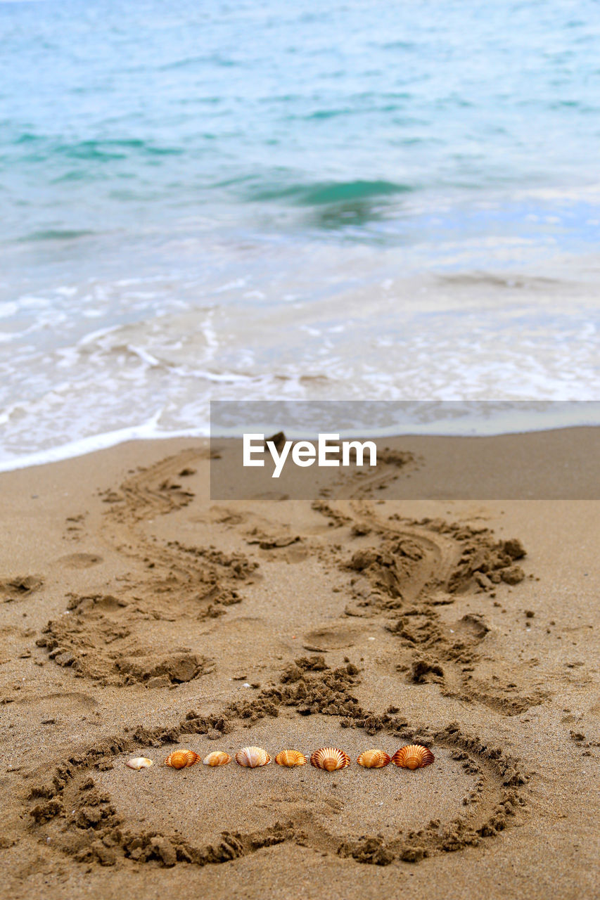 Seashells amidst heart shape at beach