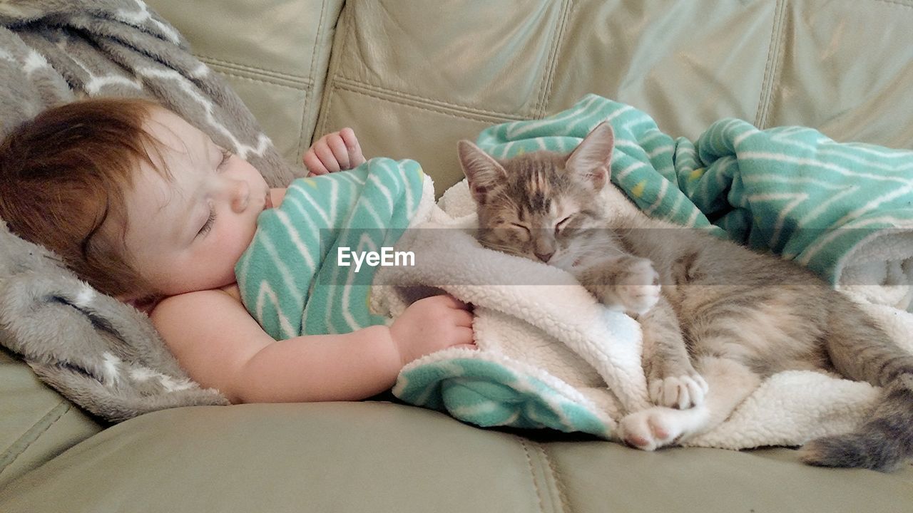 Cute baby girl sleeping with cat on sofa at home