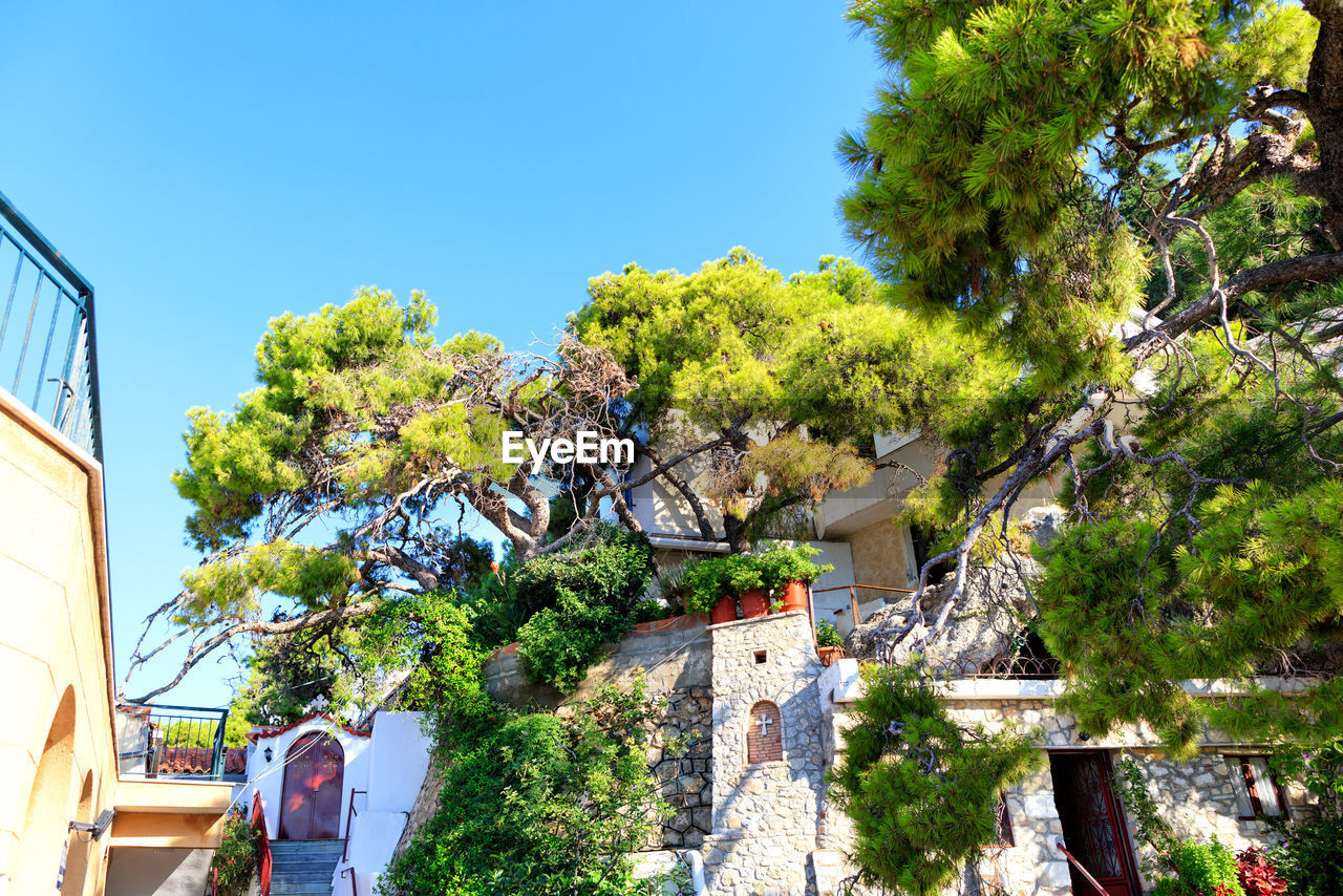 TREES AND PLANTS BY BUILDING AGAINST SKY