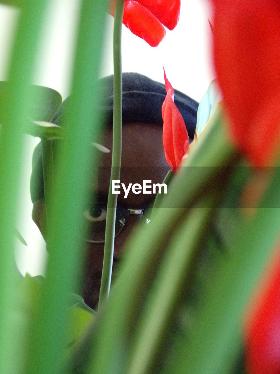 Close-up portrait of man behind plants