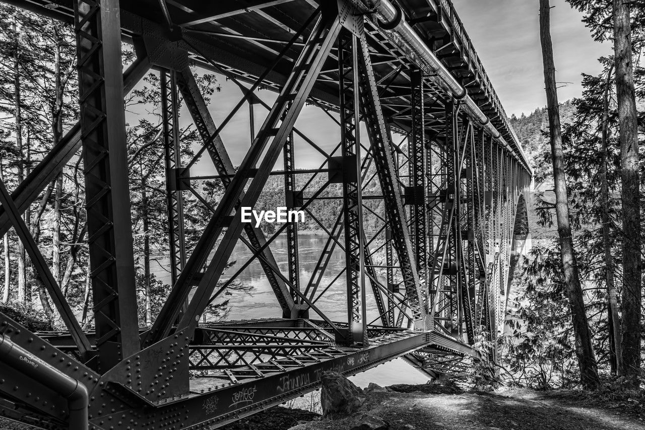 built structure, architecture, bridge, black and white, monochrome, monochrome photography, urban area, metal, no people, day, nature, tree, outdoors, plant, black, transportation, sky, low angle view, iron
