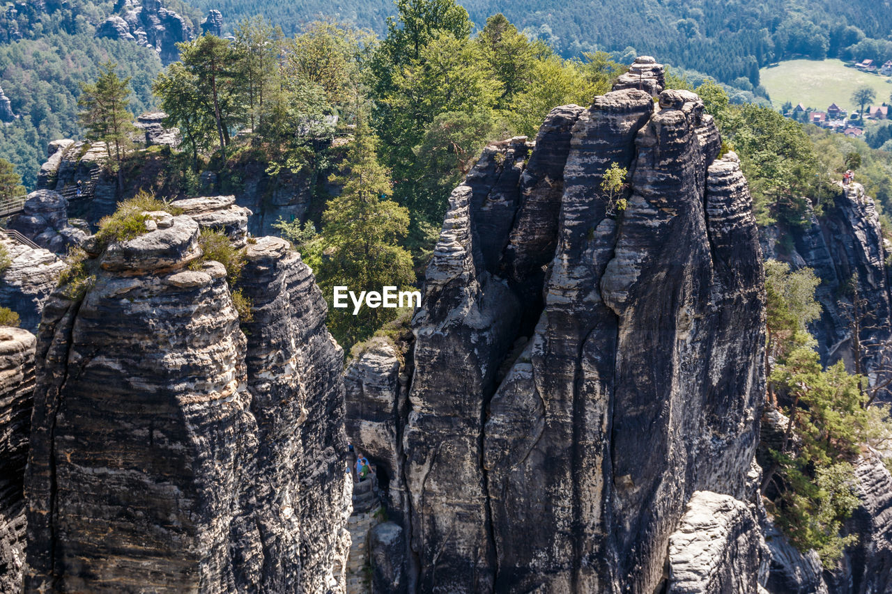 PANORAMIC VIEW OF ROCKS AND TREES ON MOUNTAIN