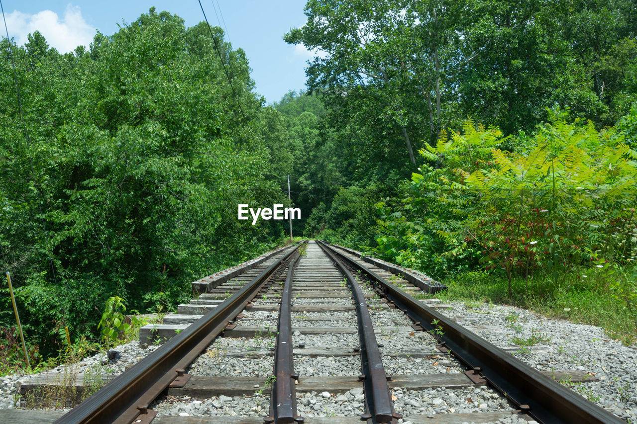 View of railroad tracks along trees