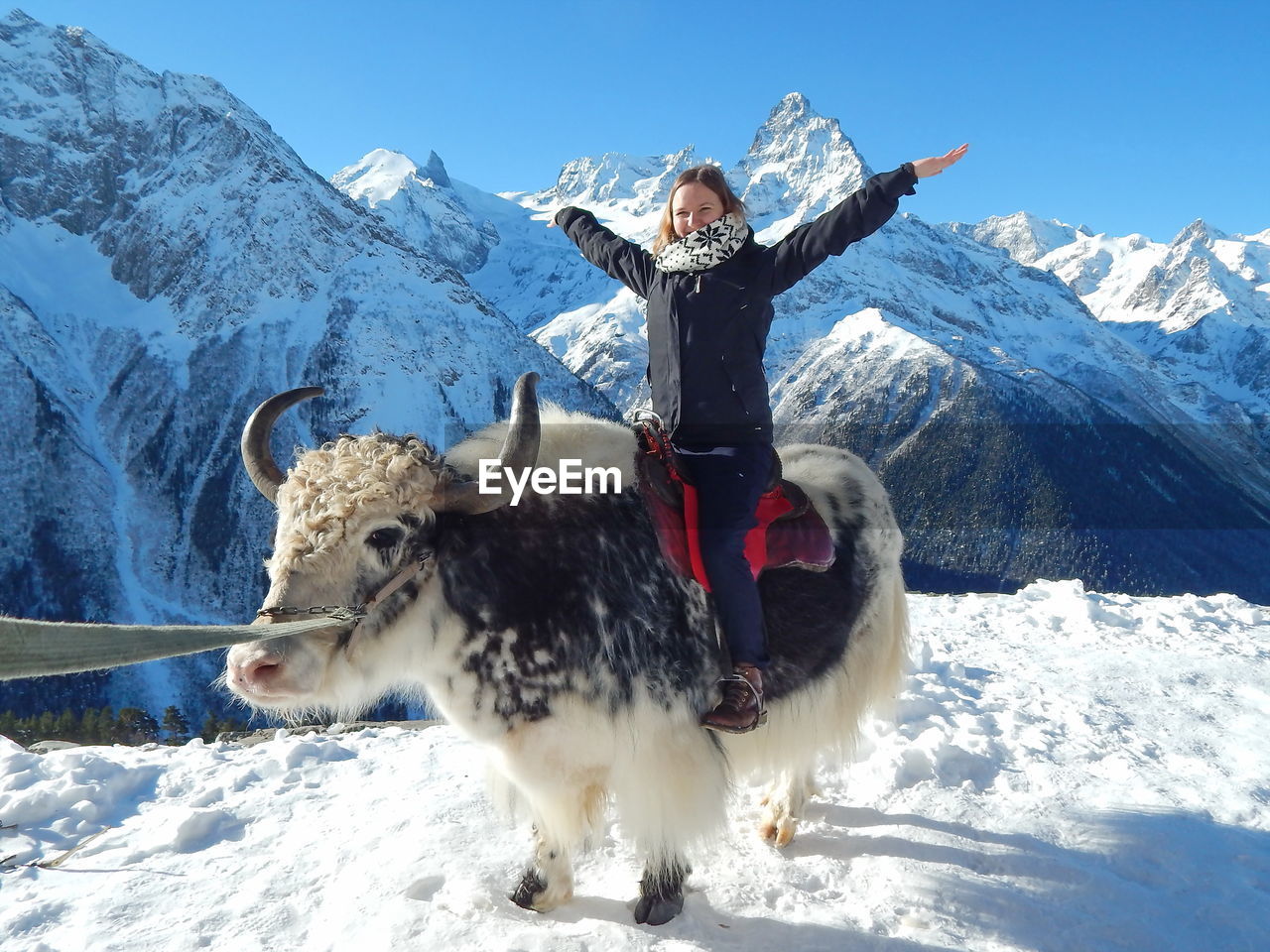 Smiling woman sitting on buffalo against snowcapped mountains