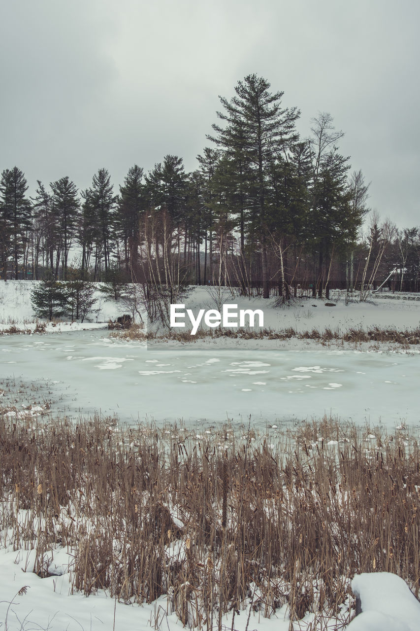 Scenic view of frozen lake against sky