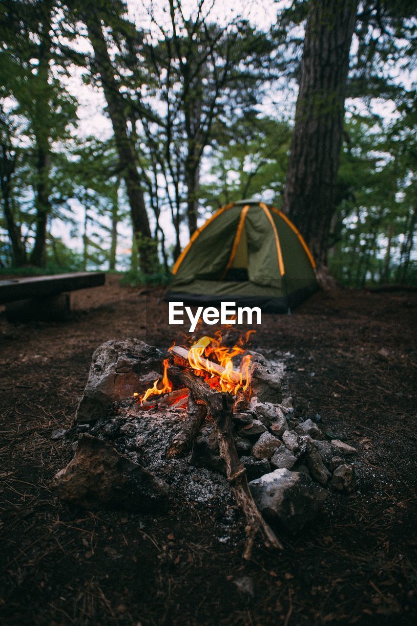 Campfire against tent in forest