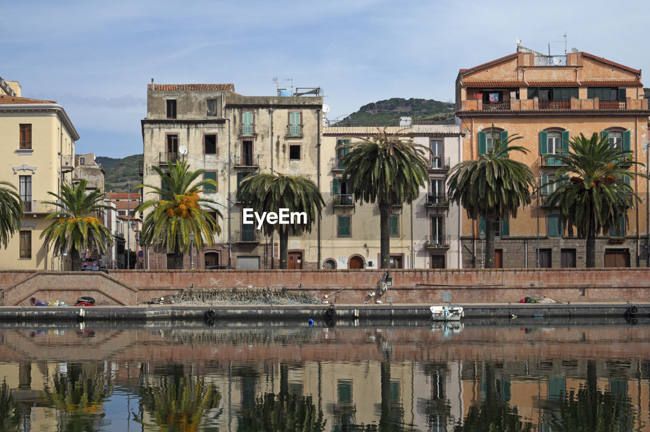 Reflection of palm trees and buildings in city