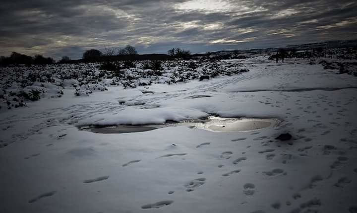 SNOW COVERED LANDSCAPE AGAINST CLOUDY SKY