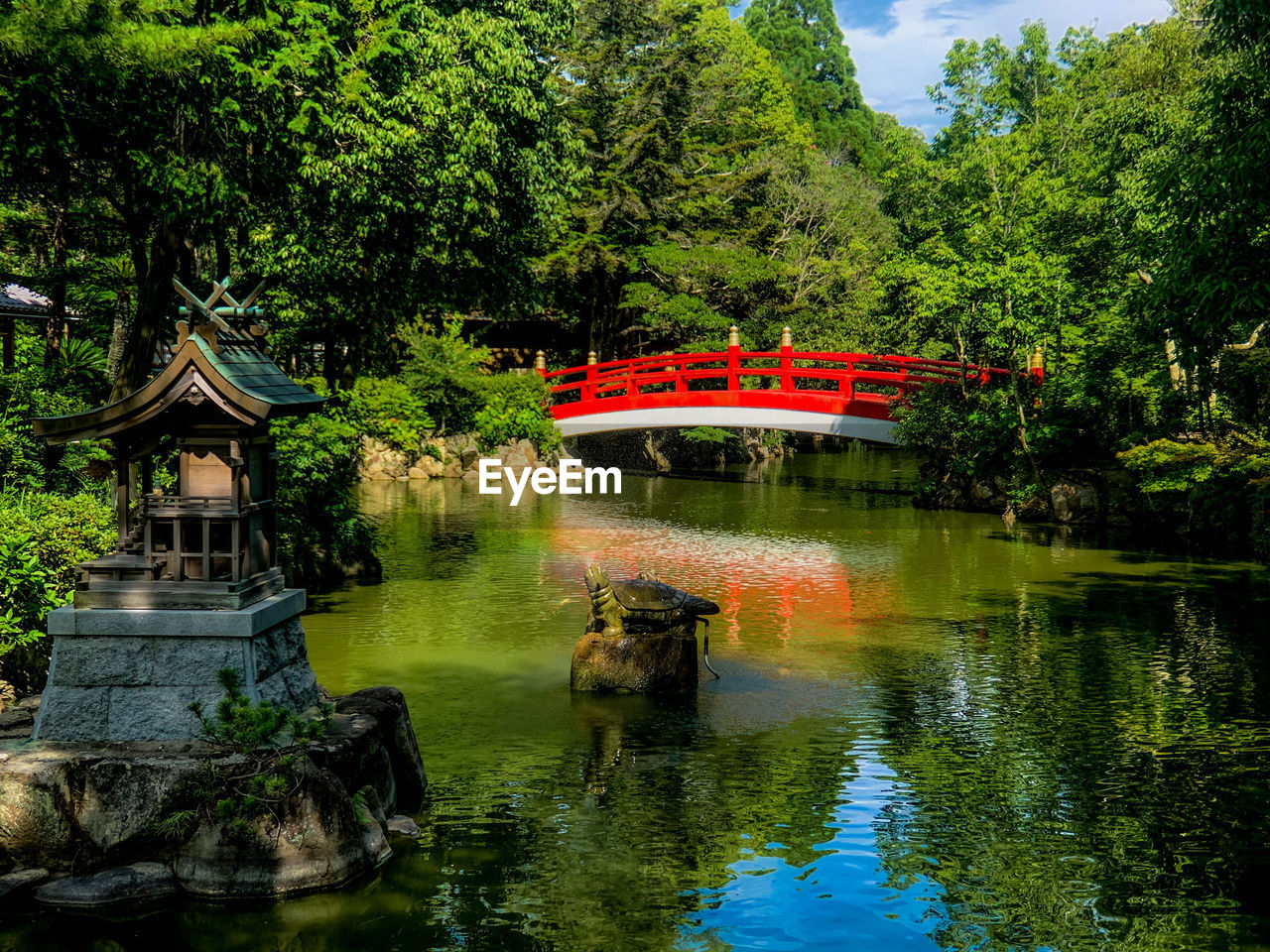 water, tree, plant, reflection, architecture, nature, garden, built structure, lake, flower, park, green, bridge, no people, autumn, beauty in nature, tranquility, travel destinations, temple - building, religion, japanese garden, building exterior, day, outdoors, growth, building, botanical garden, tradition, travel, body of water, formal garden, belief, waterfront, tourism, culture, tranquil scene, foliage, lush foliage, forest, place of worship, pagoda, sky, scenics - nature, jungle