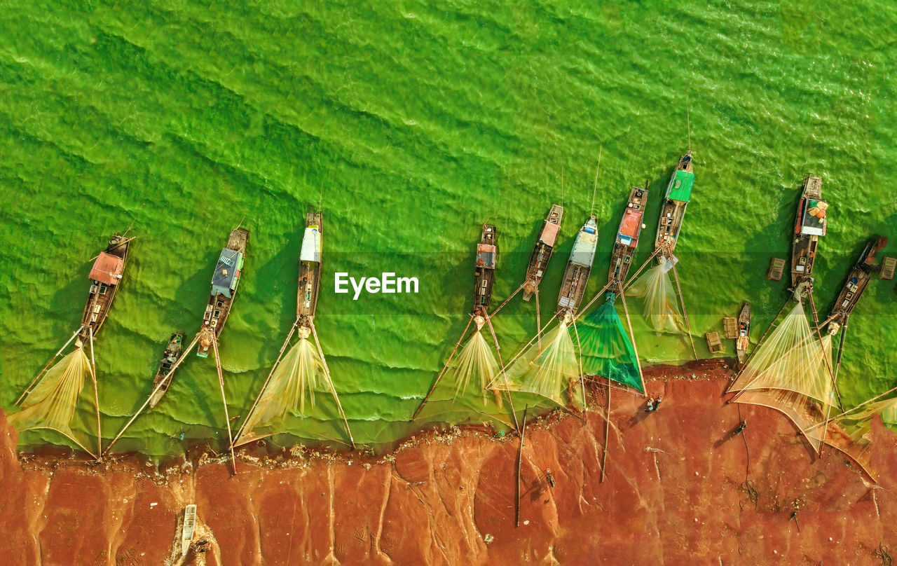 HIGH ANGLE VIEW OF PLANTS GROWING ON FARM