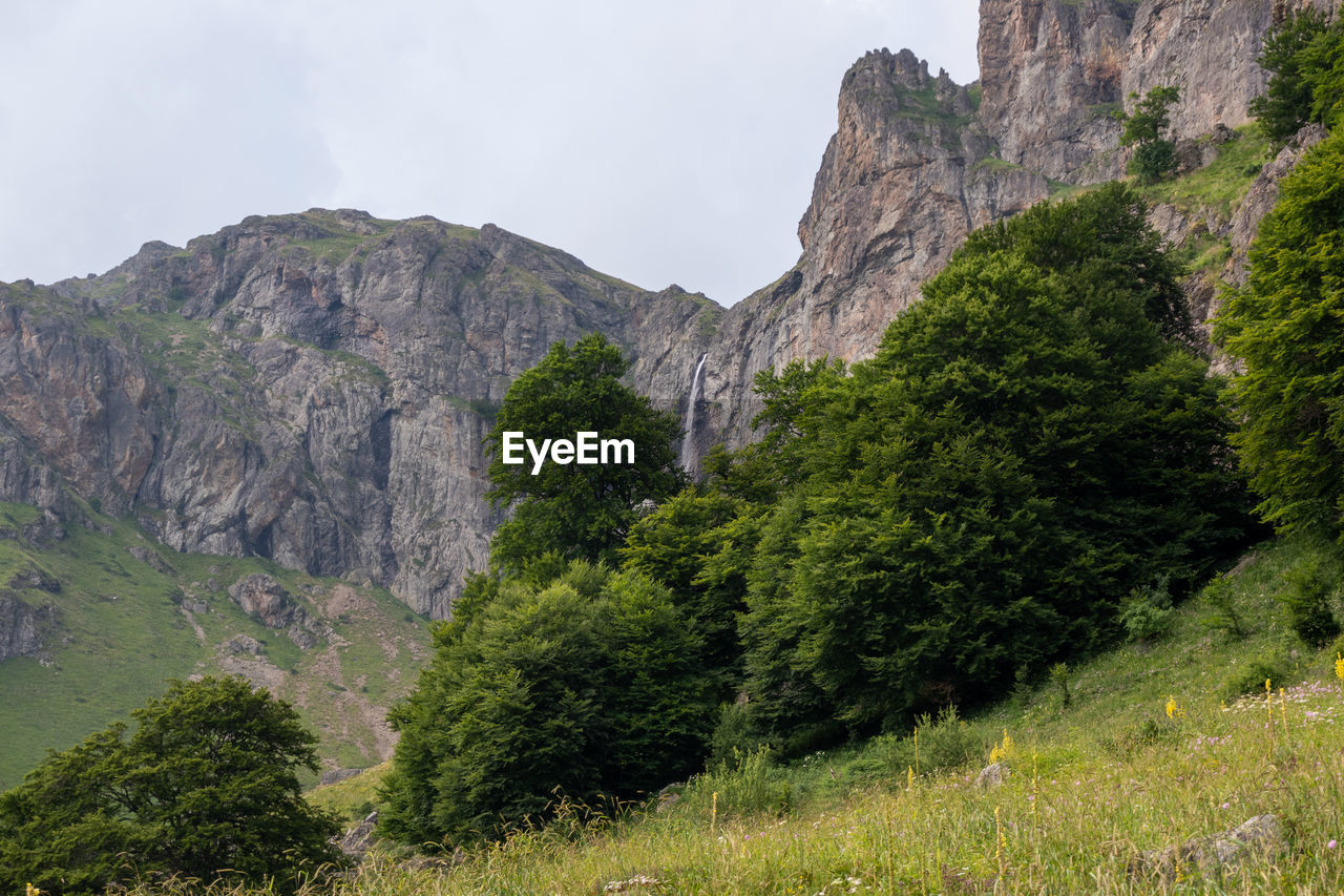 SCENIC VIEW OF TREES AND MOUNTAINS AGAINST SKY