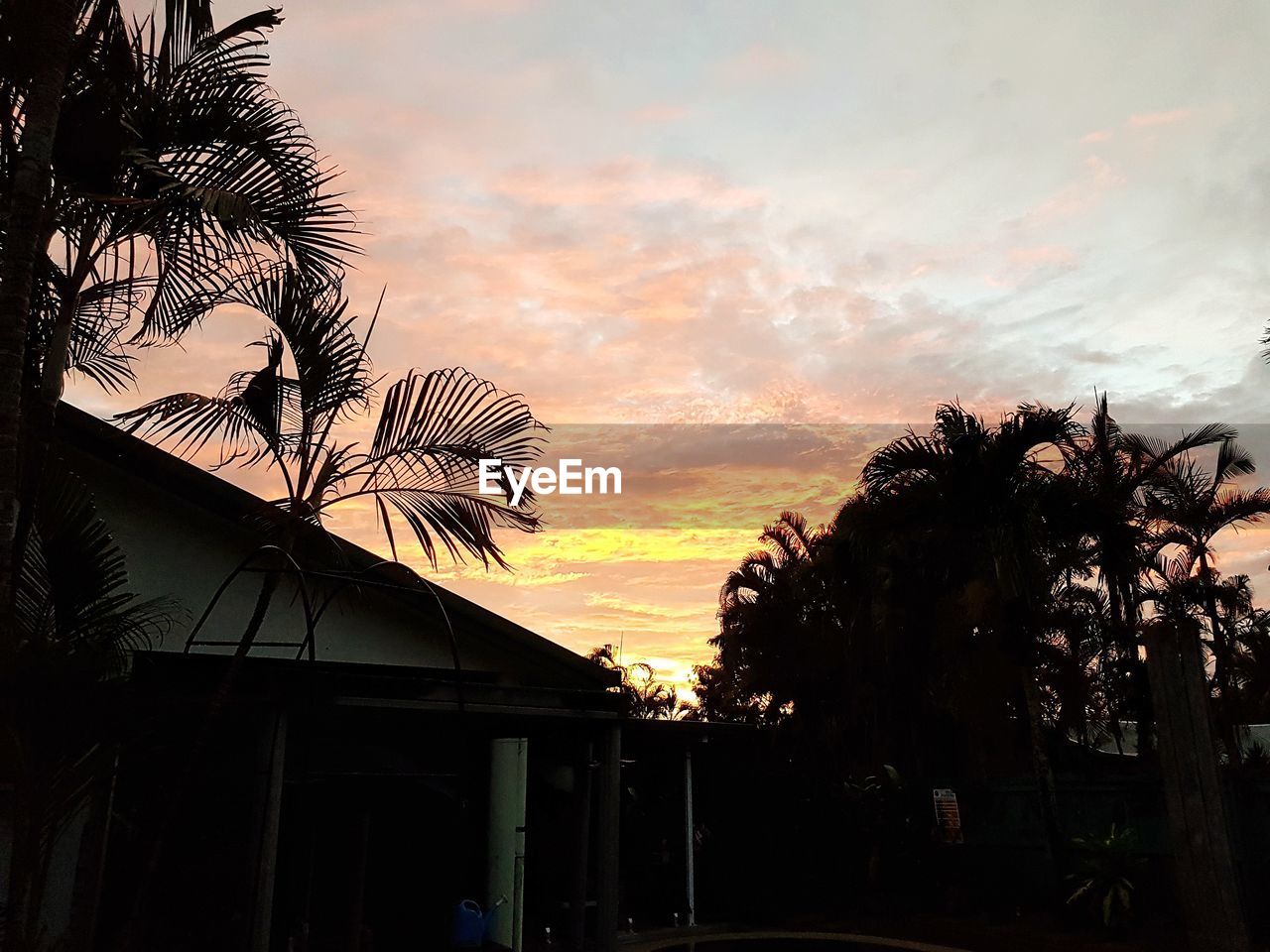 PALM TREE AGAINST SKY AT SUNSET