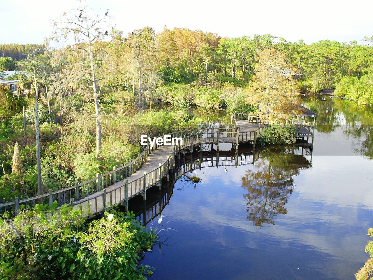 Scenic view of lake with trees in background