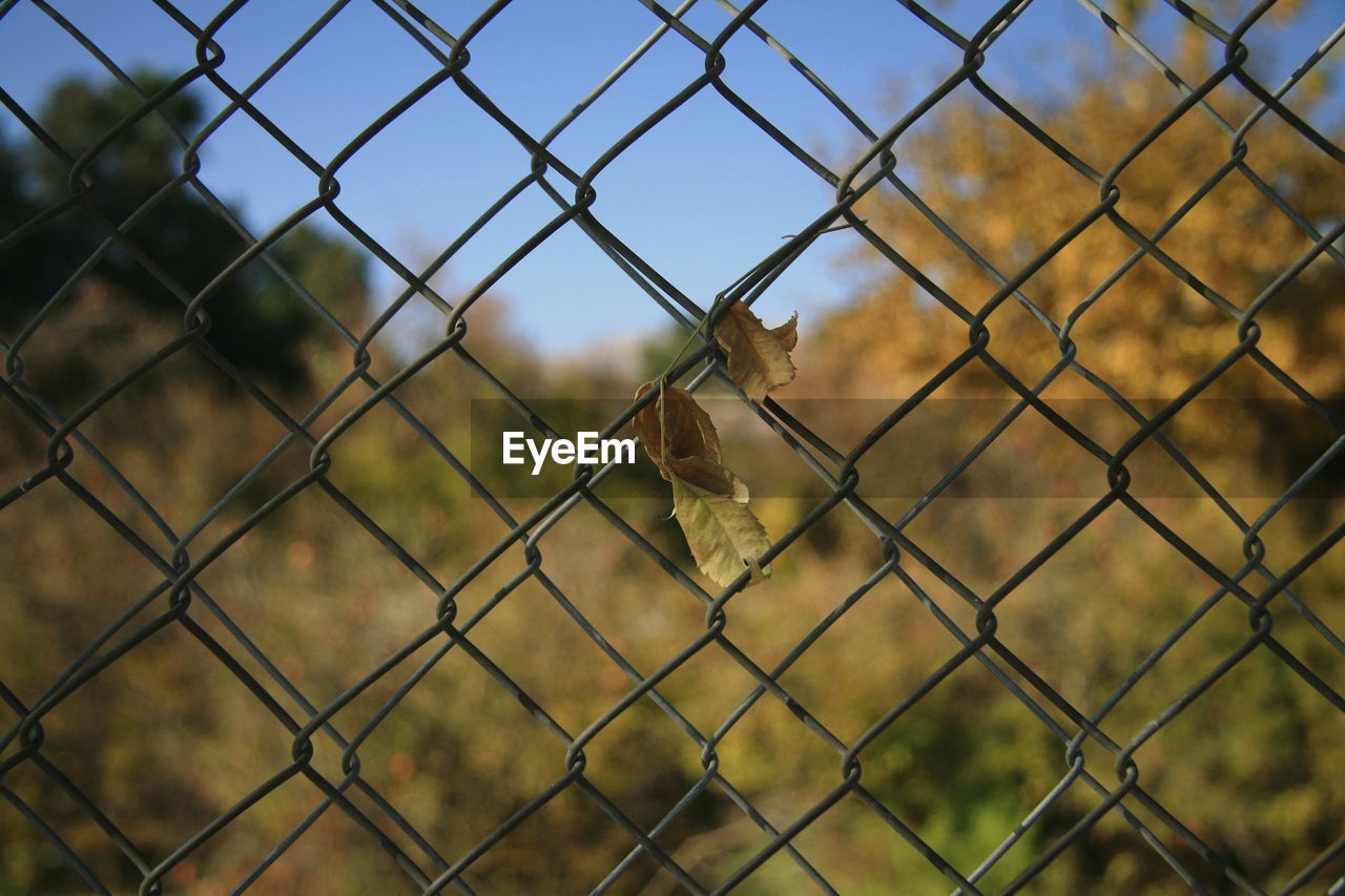 VIEW OF CHAINLINK FENCE SEEN THROUGH BARBED WIRE BEHIND METAL