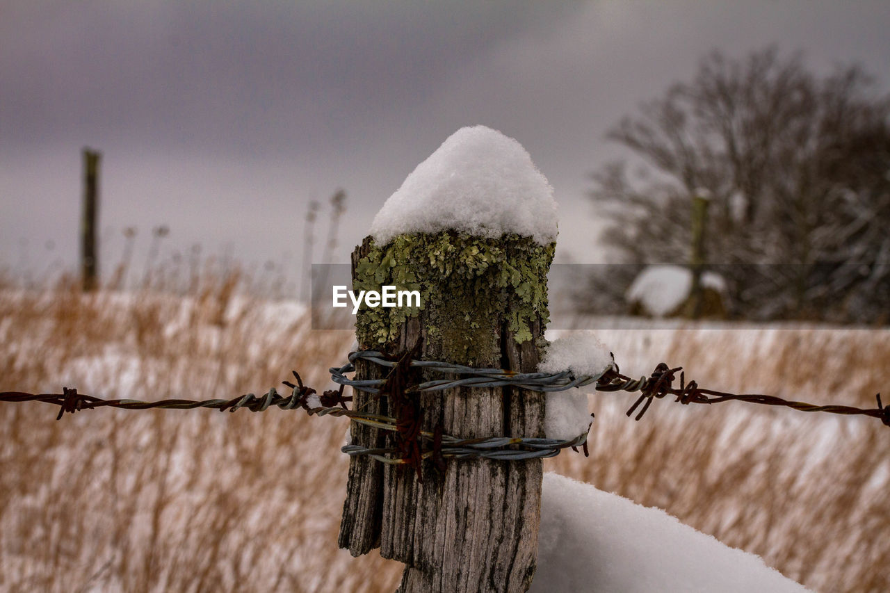 Barbed wire on wooden post against sky during winter