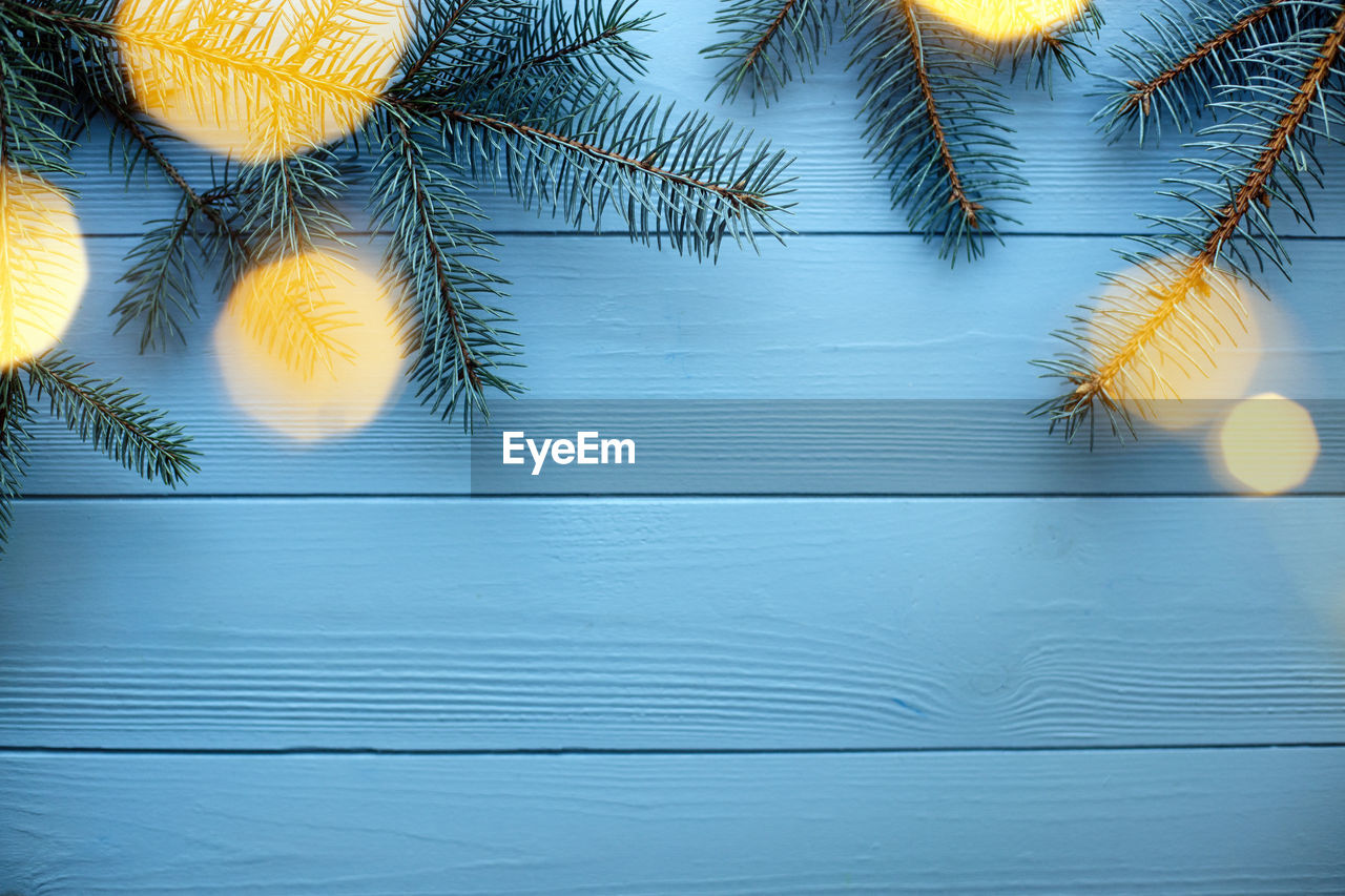 Christmas and new year wooden background with blue fir tree branches and lights. copy space