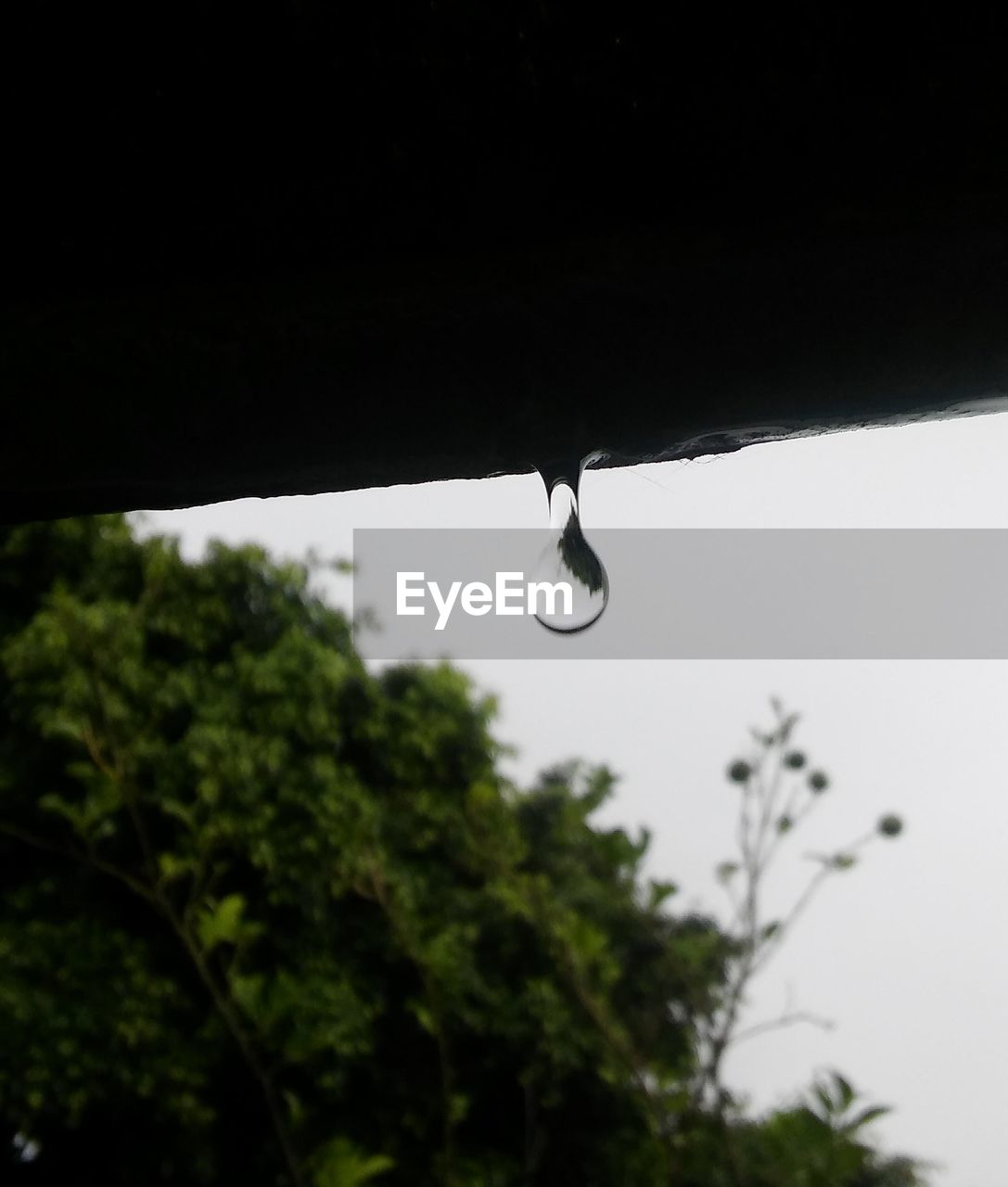 CLOSE-UP OF WATER DROPS ON SPIDER WEB