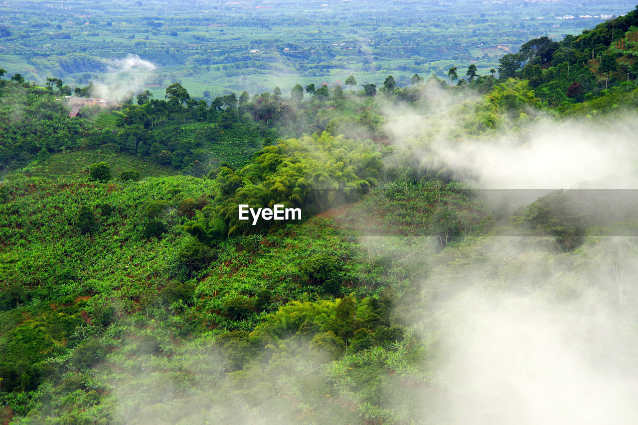 SCENIC VIEW OF WATERFALL