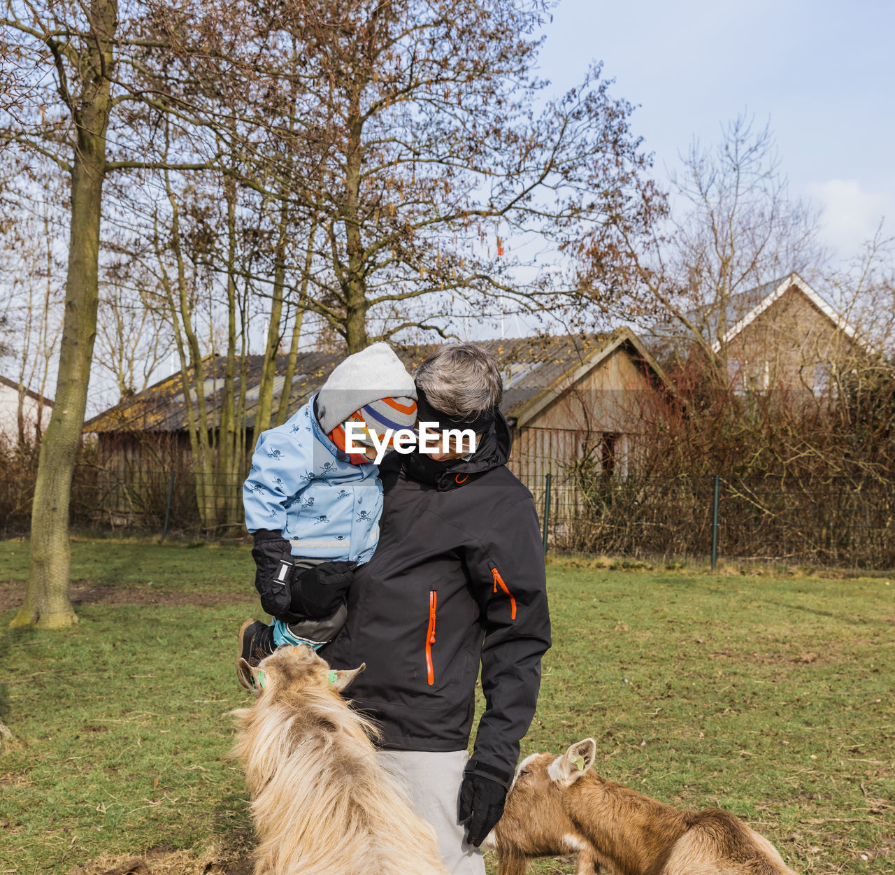 Grandfather carrying granddaughter while standing by domestic animals on grassy field