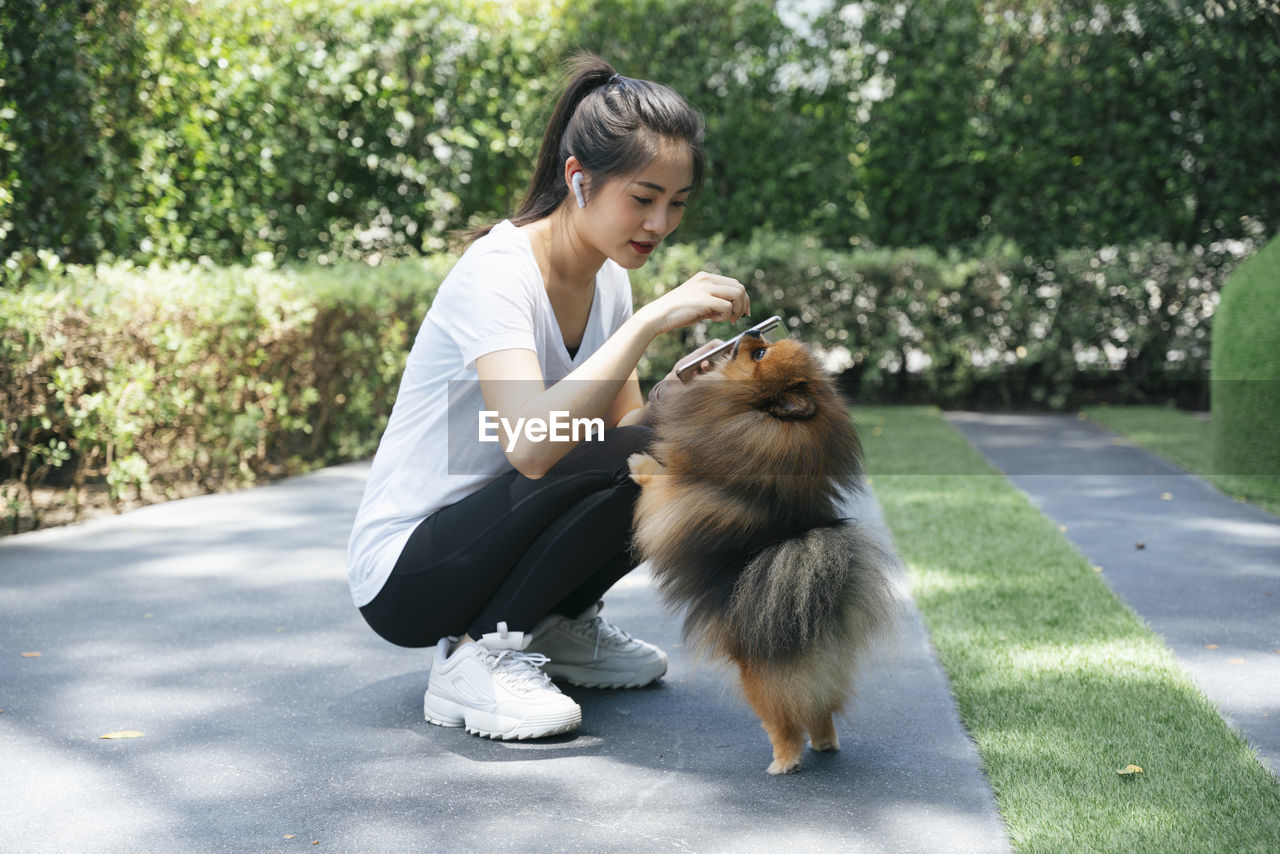 Full length of woman using phone playing with dog at park