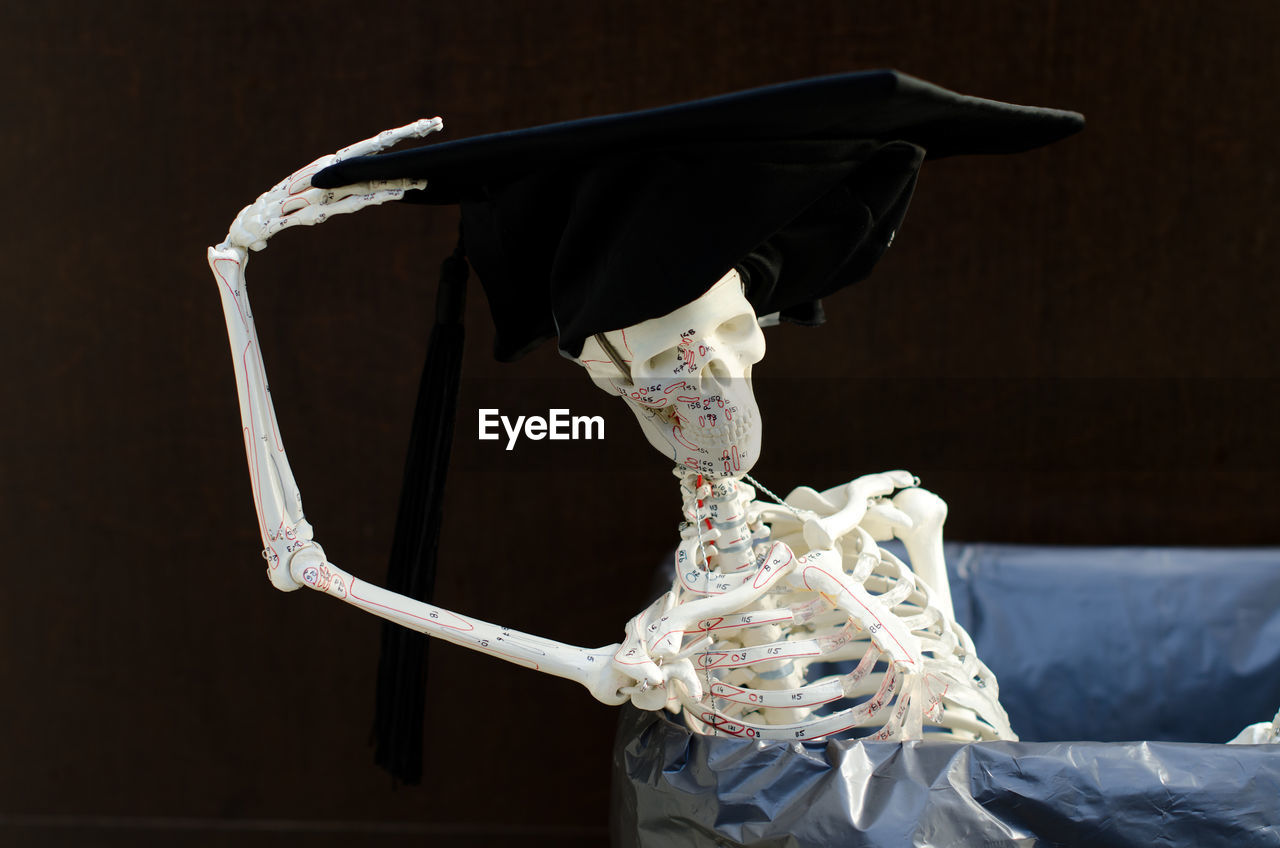 Skeleton wearing mortarboard