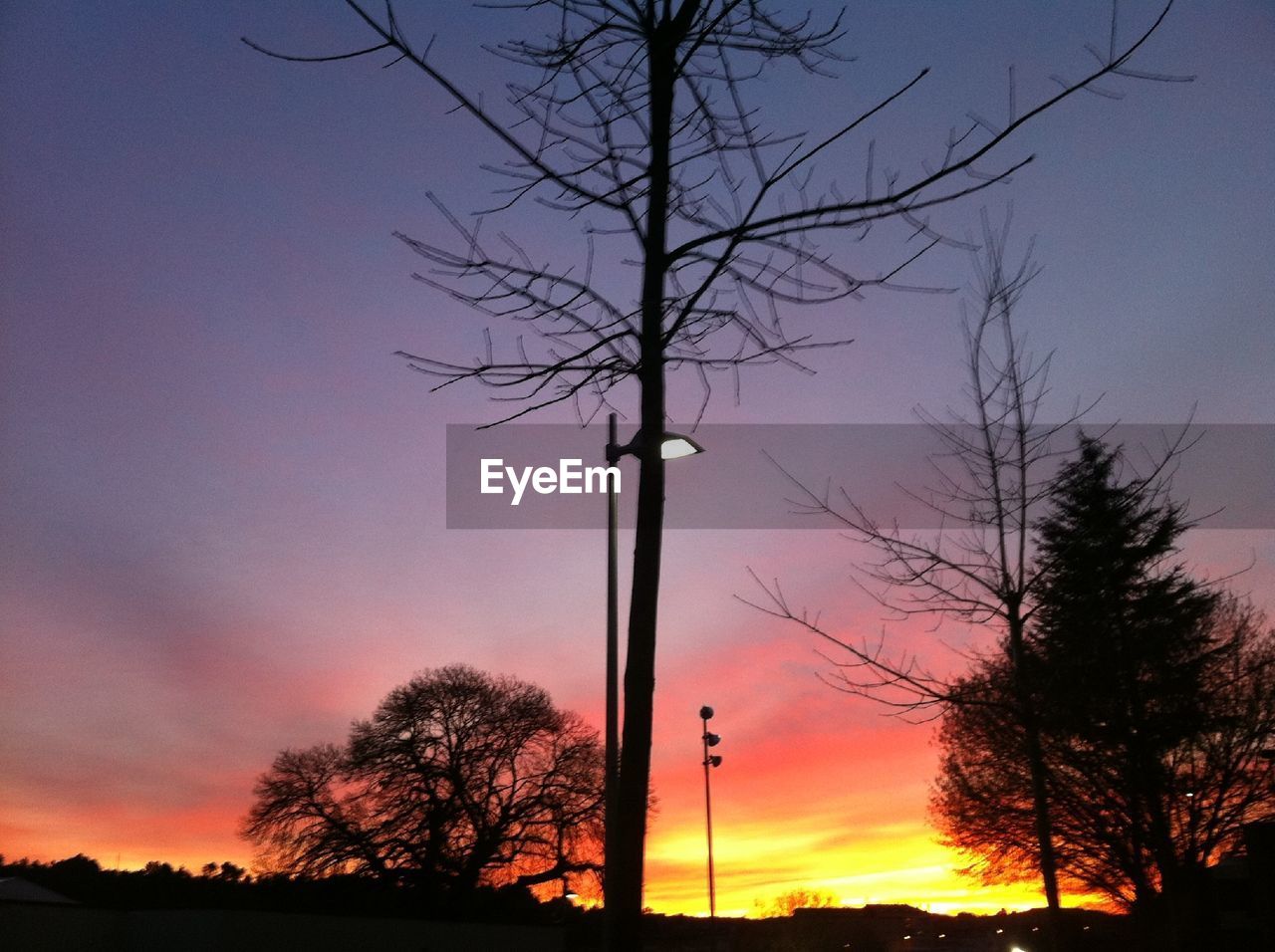 LOW ANGLE VIEW OF SILHOUETTE TREES AGAINST ORANGE SKY