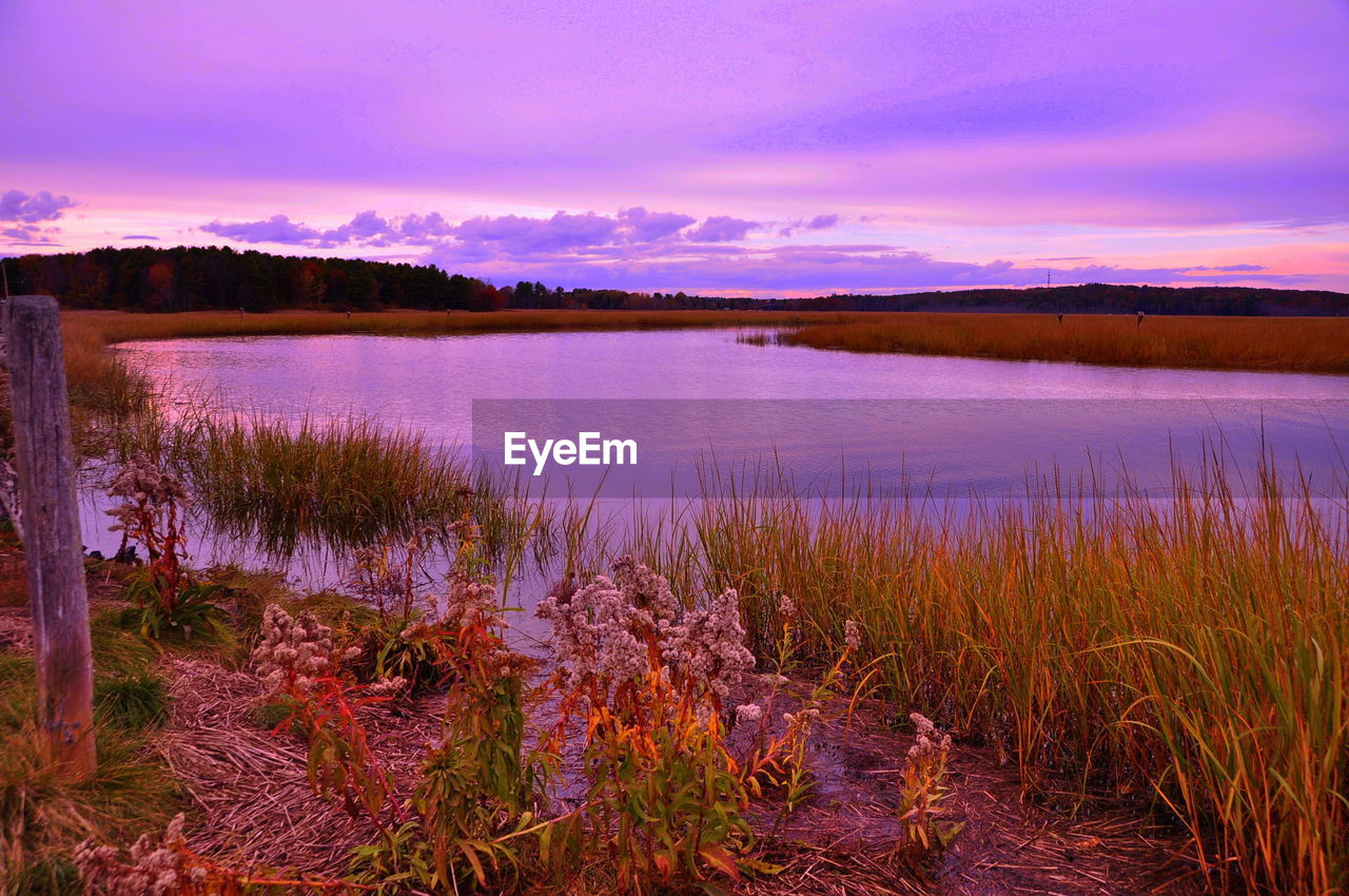 Scenic view of river at sunset