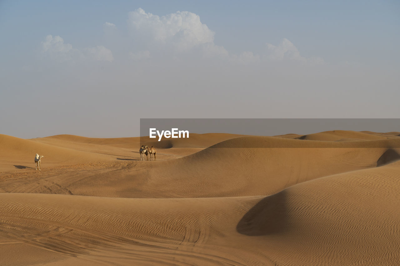 Scenic view of desert against sky