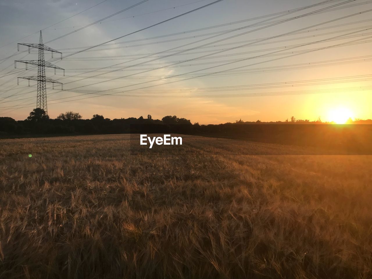 SCENIC VIEW OF FIELD DURING SUNSET