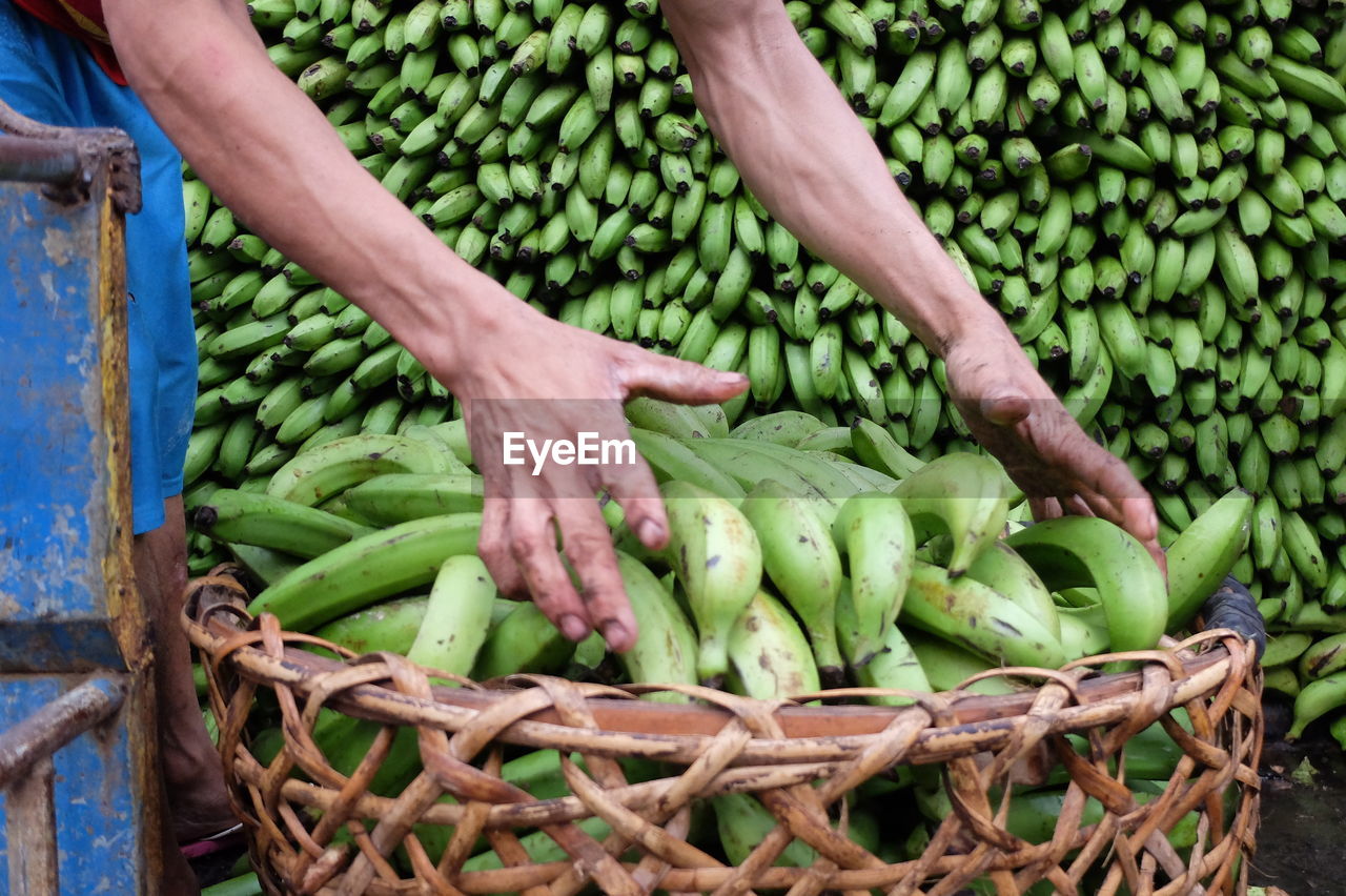 Cropped image of worker picking raw bananas in basket