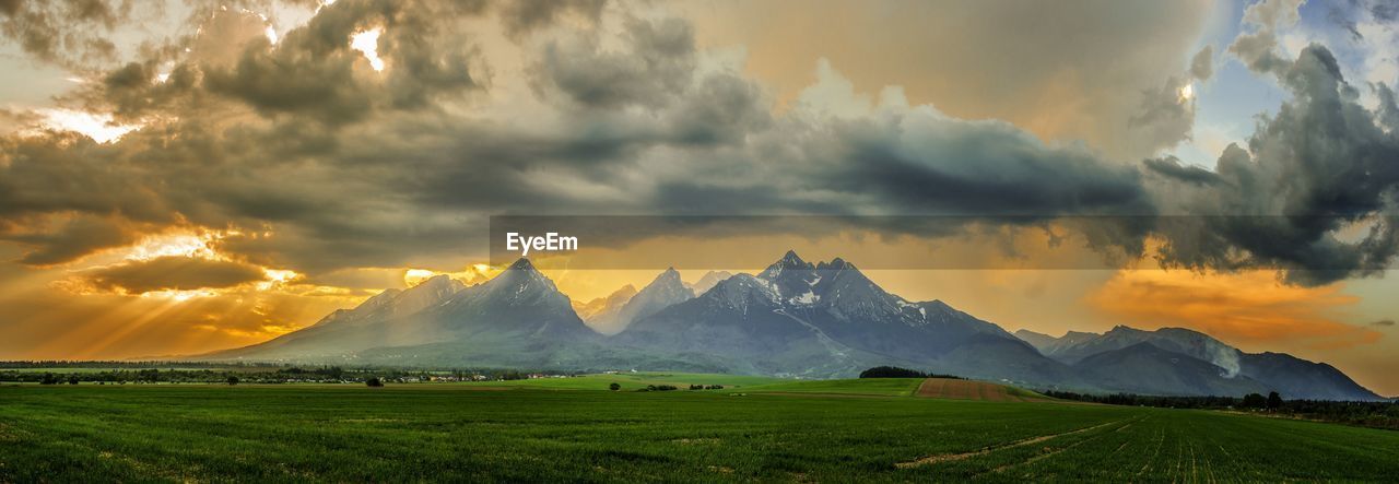 Scenic view of field against sky during sunset