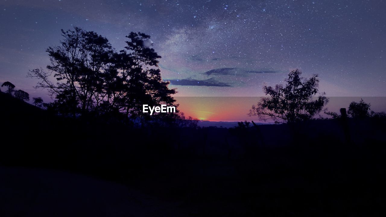 LOW ANGLE VIEW OF SILHOUETTE TREES AT NIGHT