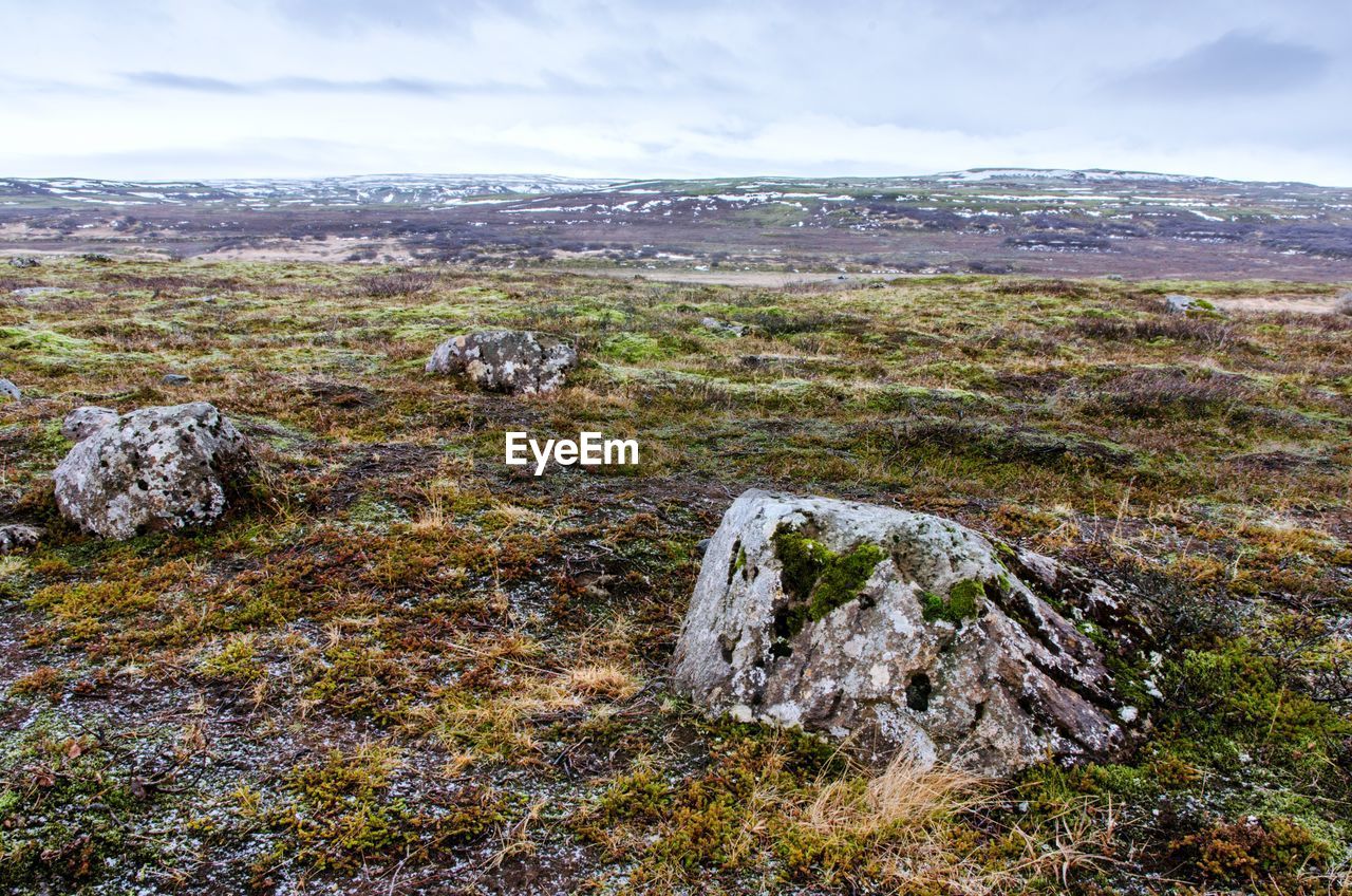 SCENIC VIEW OF LAND