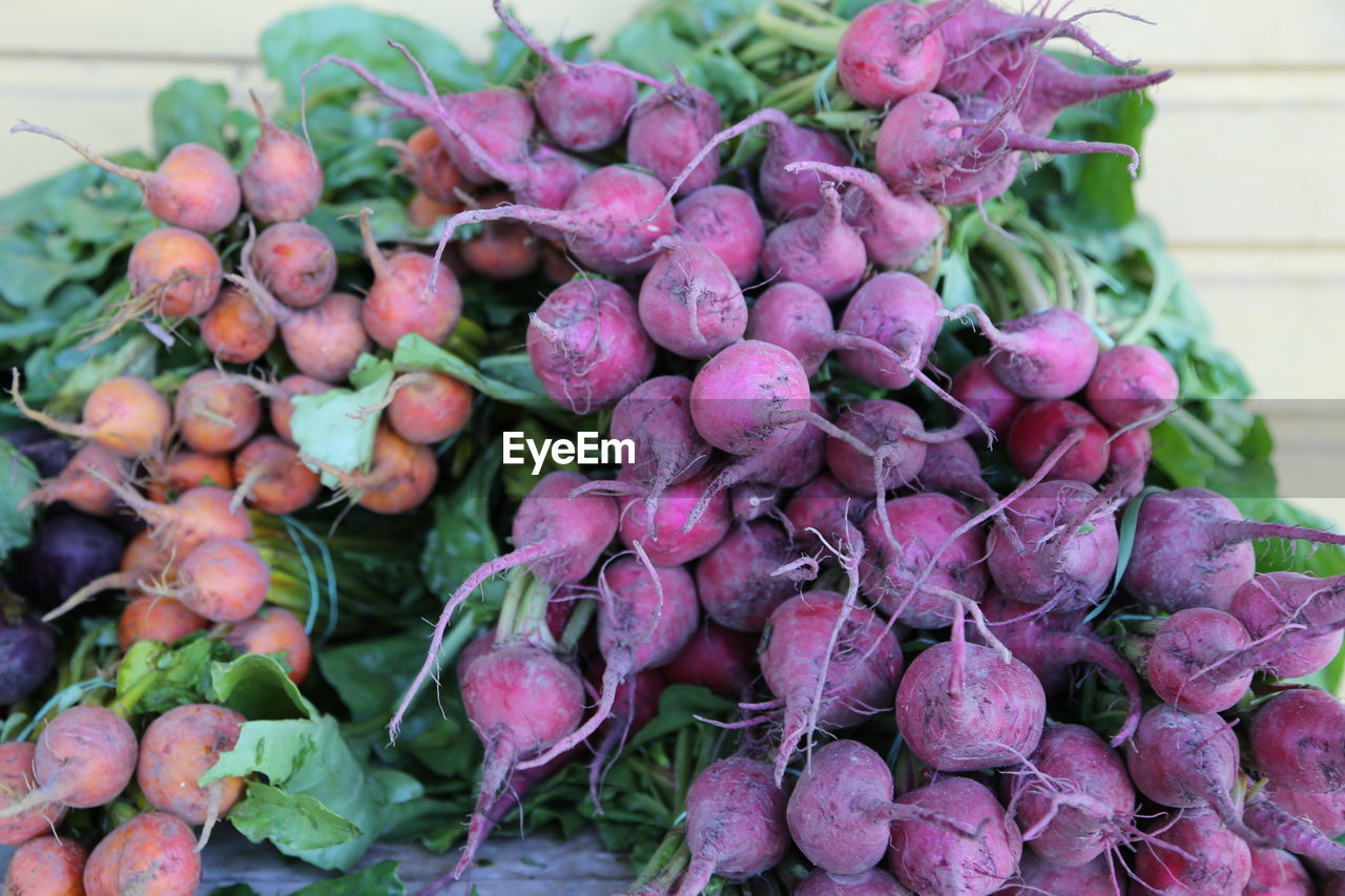 Close-up of root vegetables