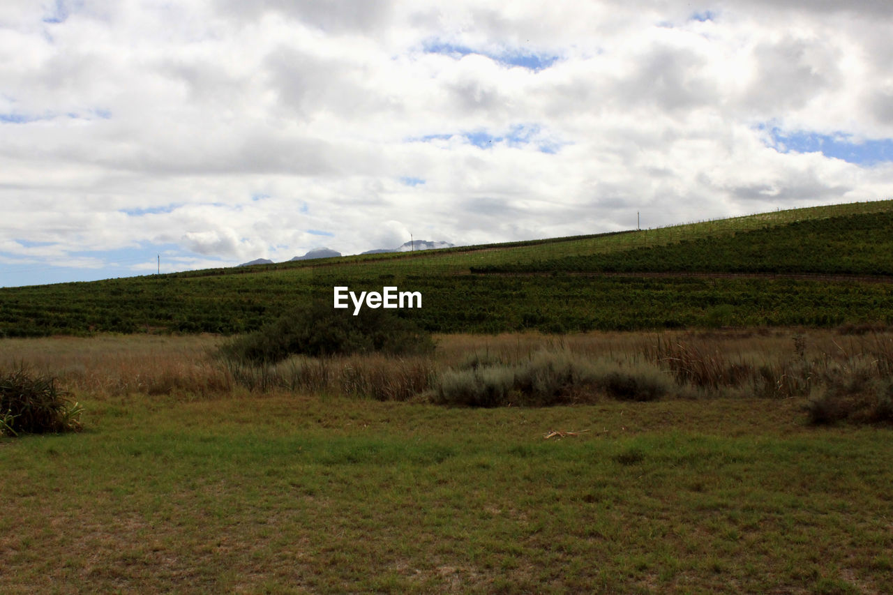 SCENIC VIEW OF LANDSCAPE AGAINST CLOUDY SKY